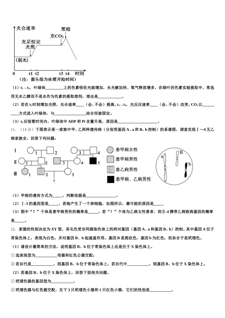 吉林省永吉实验高级中学2025届高一生物第二学期期末调研模拟试题含解析_第3页