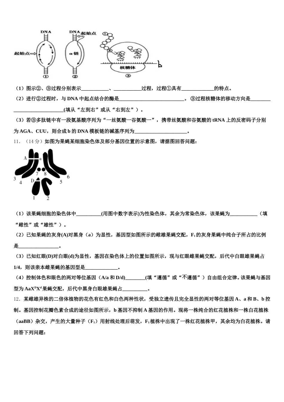 2024-2025学年吉林市普通中学生物高一第二学期期末教学质量检测试题含解析_第3页