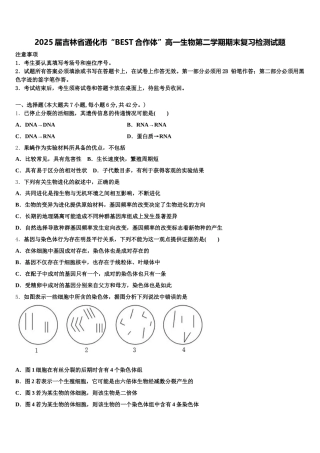 2025届吉林省通化市“BEST合作体”高一生物第二学期期末复习检测试题含解析