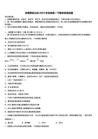 吉黑两省九校2025年生物高一下期末检测试题含解析