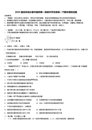 2025届吉林省长春市榆树第一高级中学生物高一下期末调研试题含解析