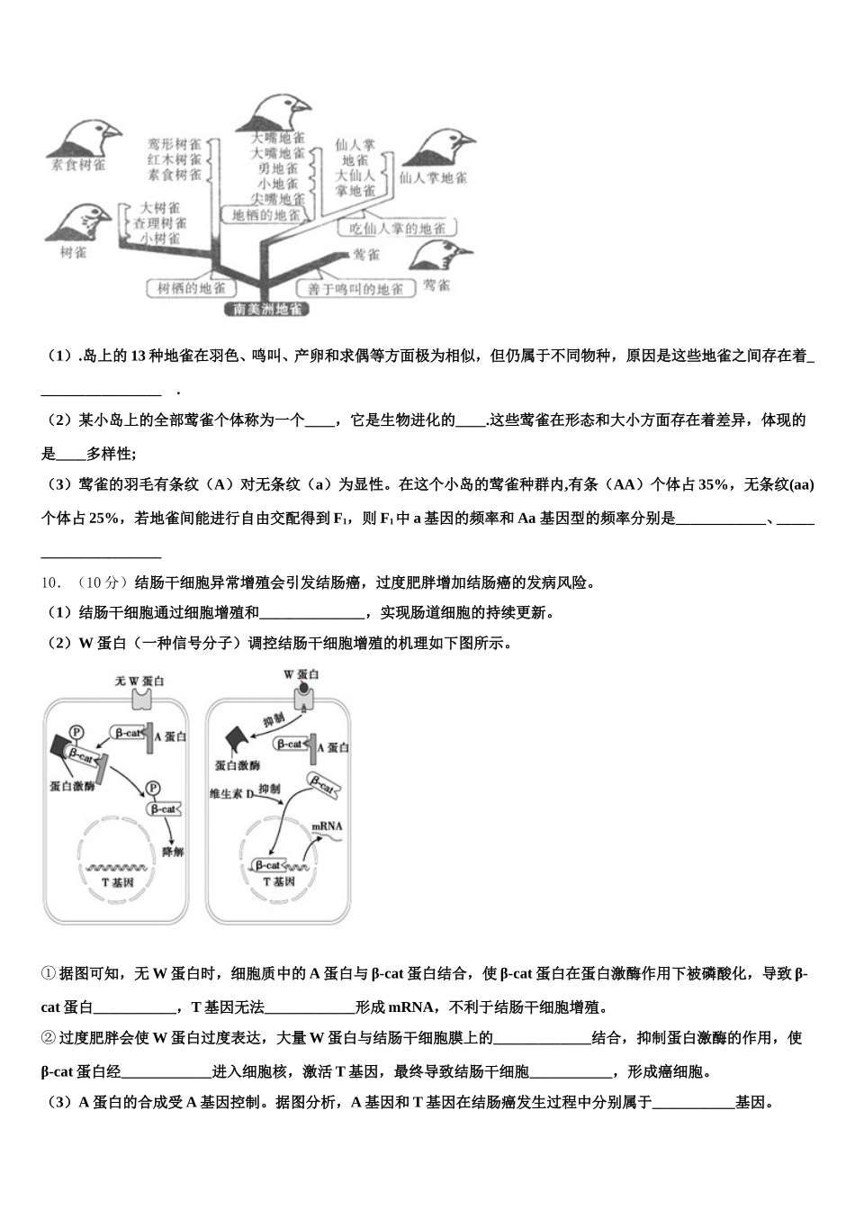 吉林省东辽五中2024-2025学年高一下生物期末综合测试试题含解析_第3页
