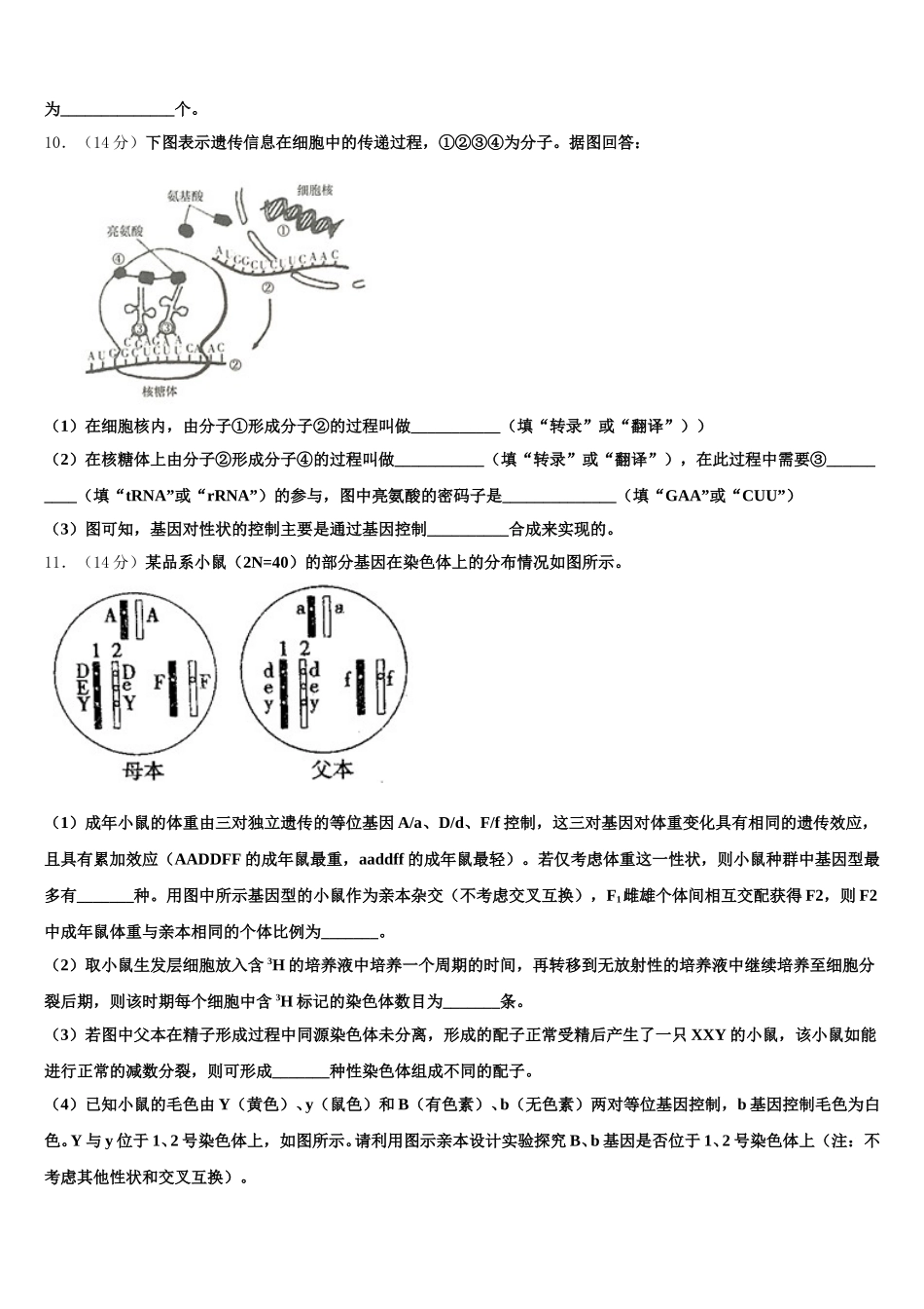 吉林省吉林市三校联考2024-2025学年生物高一下期末复习检测模拟试题含解析_第3页