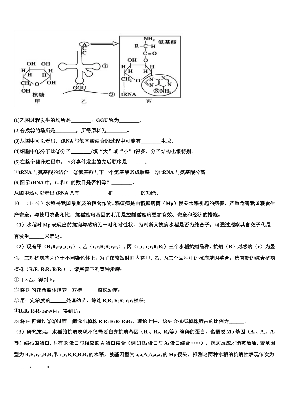 2025年吉林省蛟河市高一下生物期末综合测试模拟试题含解析_第3页