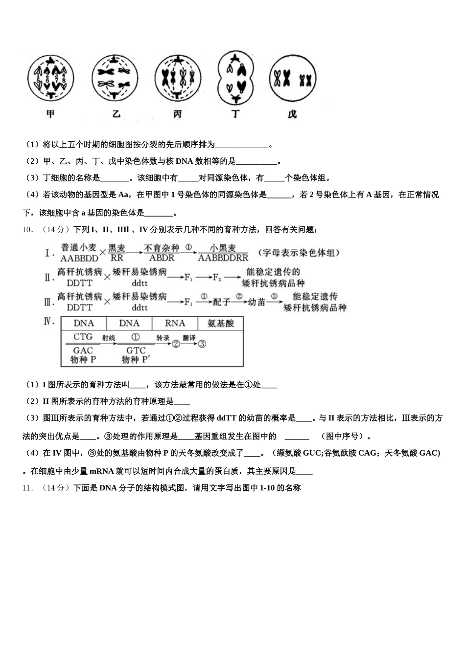 2025年吉林省吉林市吉化一中生物高一下期末调研试题含解析_第3页