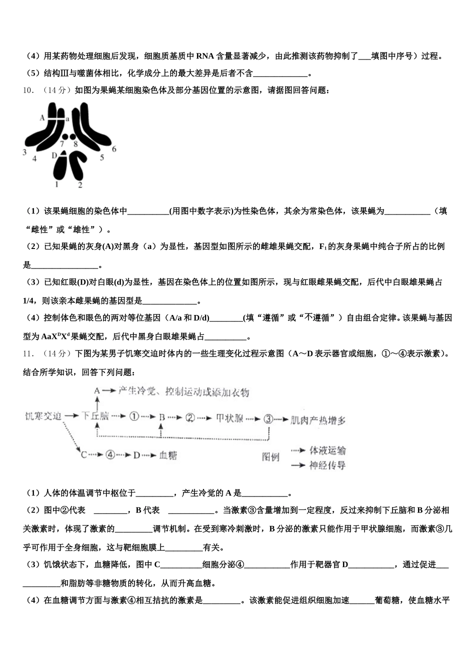 2025届吉林省长春市长春外国语学校高一下生物期末质量检测模拟试题含解析_第3页