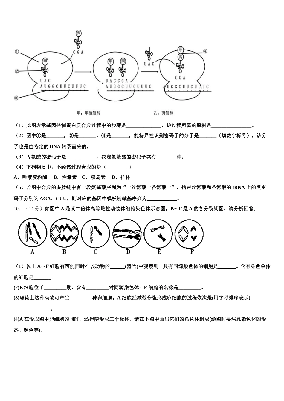 2024-2025学年吉林省长春市东北师大附中生物高一第二学期期末联考模拟试题含解析_第3页