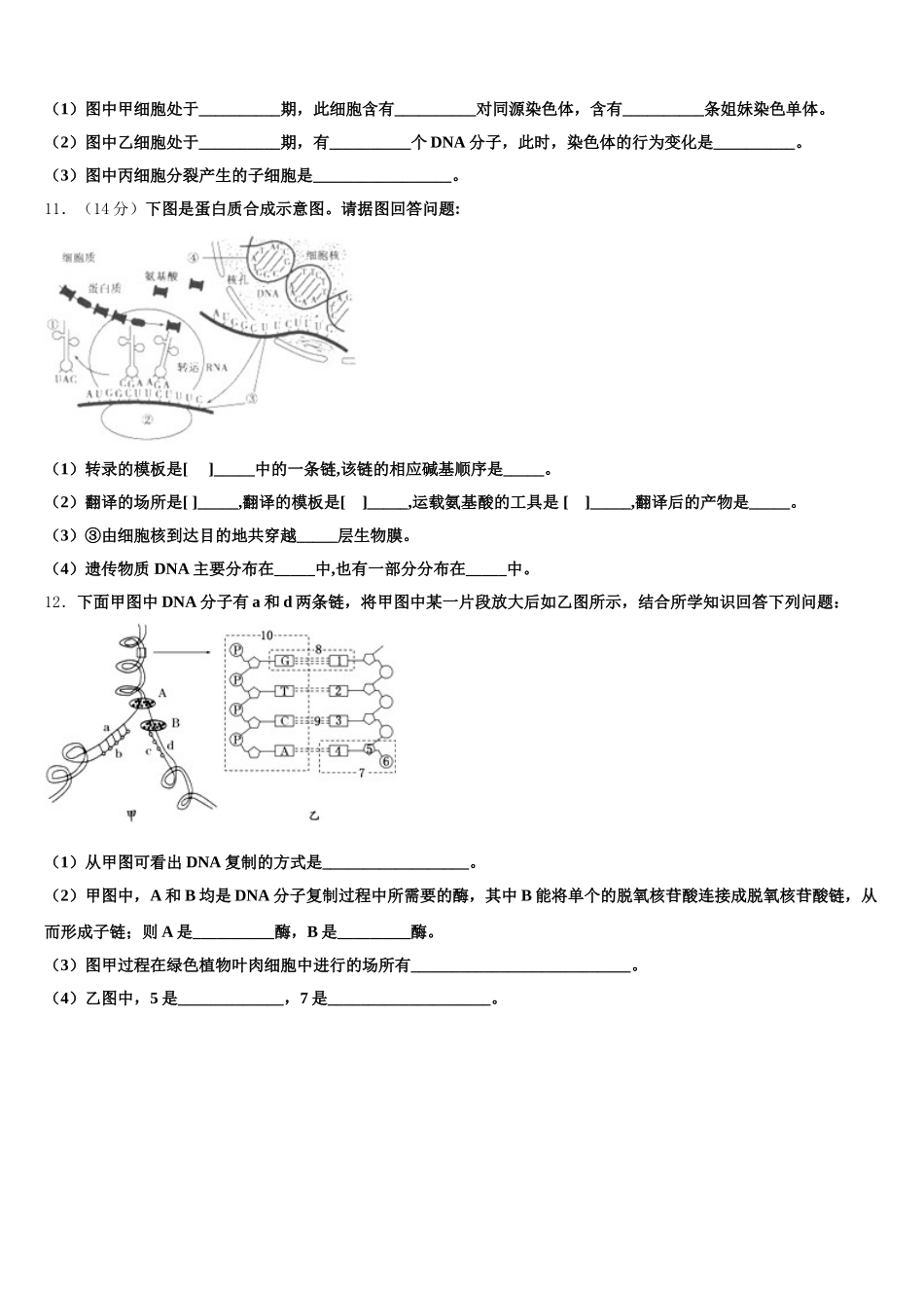 2025年吉林省普通高中联合体高一生物第二学期期末达标检测试题含解析_第3页