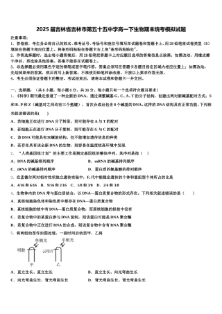 2025届吉林省吉林市第五十五中学高一下生物期末统考模拟试题含解析