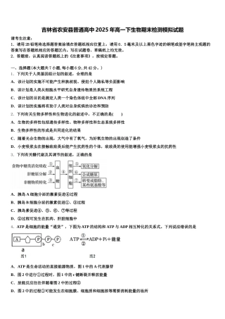 吉林省农安县普通高中2025年高一下生物期末检测模拟试题含解析