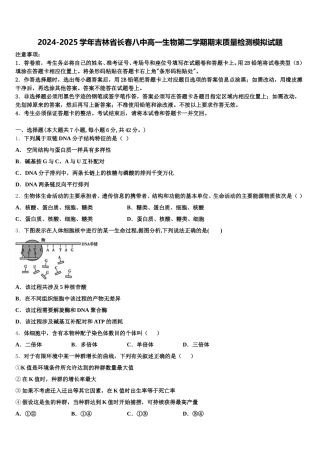 2024-2025学年吉林省长春八中高一生物第二学期期末质量检测模拟试题含解析