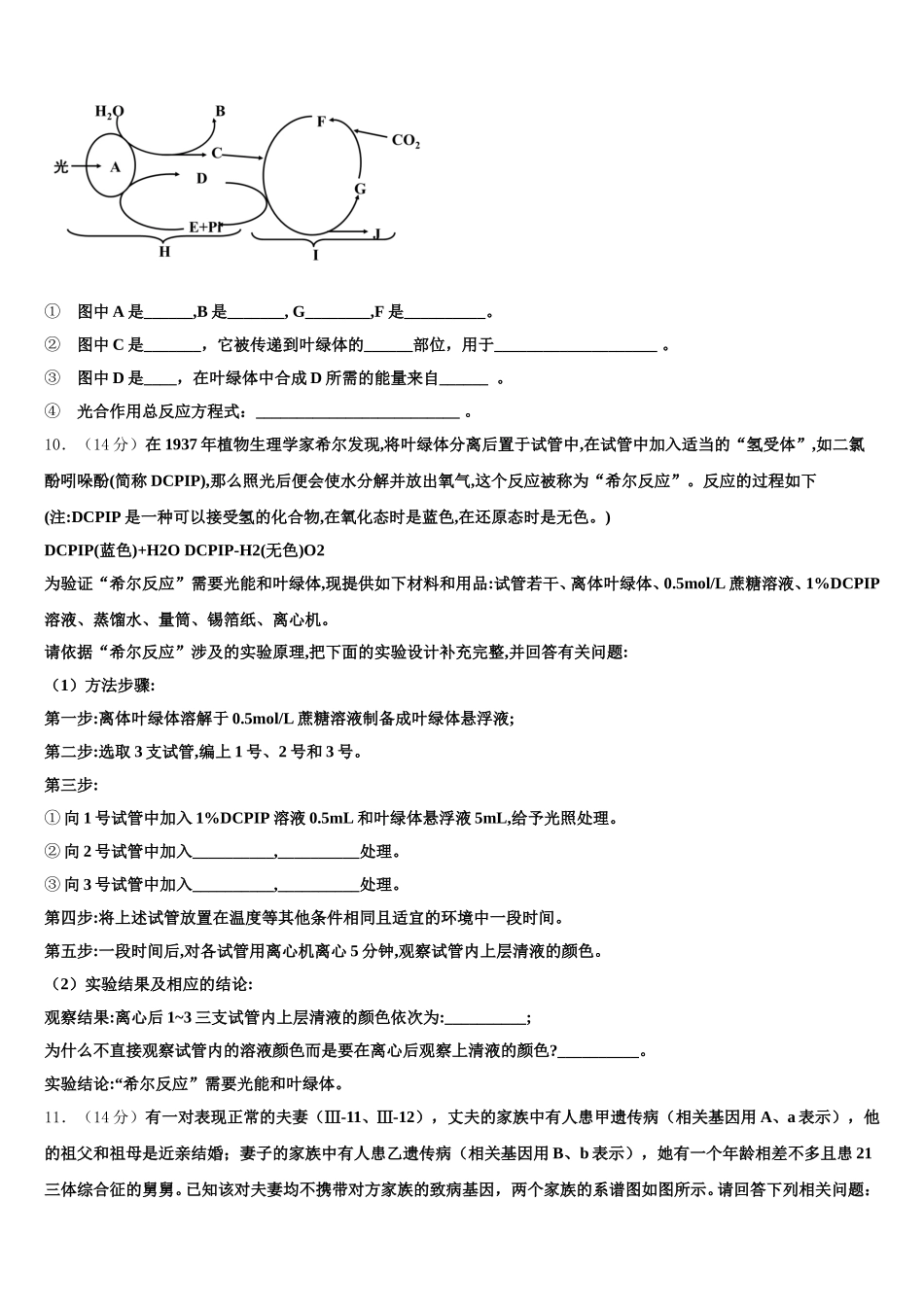 2024-2025学年吉林省延边市第二中学生物高一下期末考试试题含解析_第3页