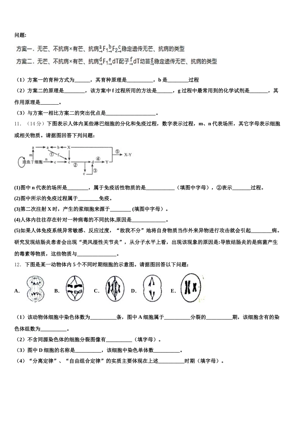 2024-2025学年吉林省吉林油田实验中学生物高一下期末学业质量监测试题含解析_第3页