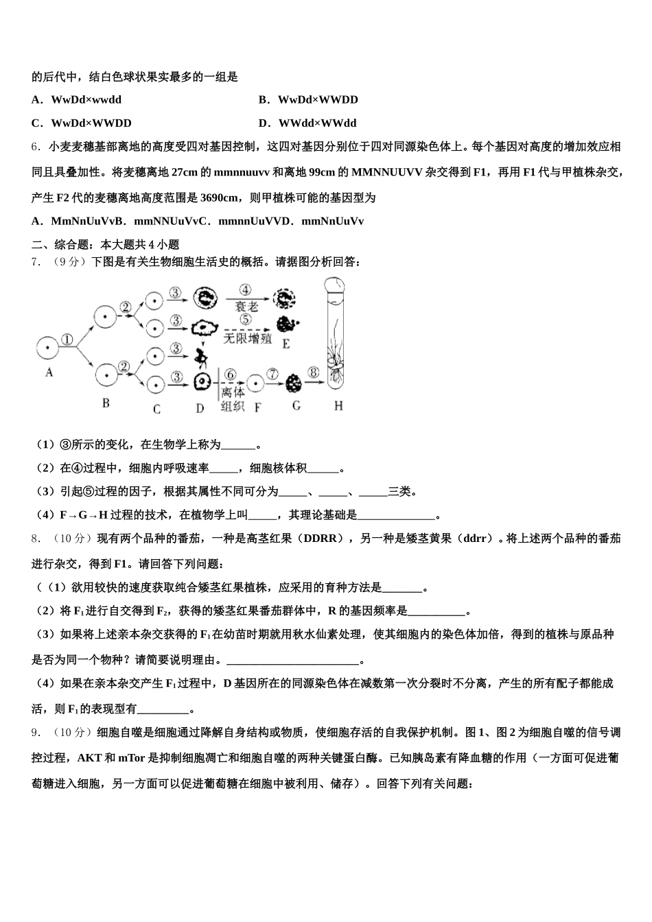 2025届吉林省辽源市东辽县第一高级中学校高一下生物期末复习检测模拟试题含解析_第2页