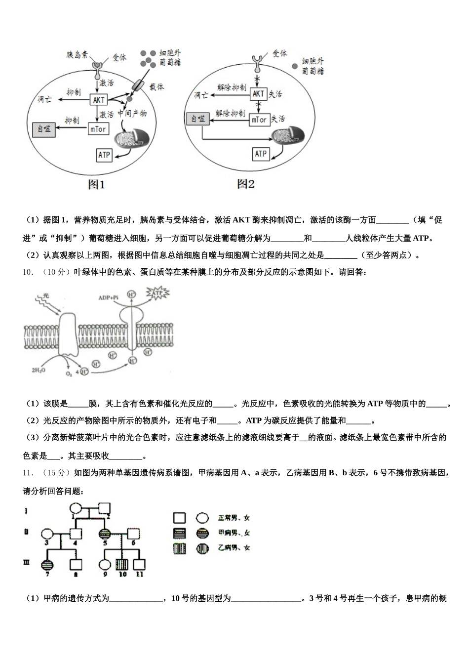 2025届吉林省辽源市东辽县第一高级中学校高一下生物期末复习检测模拟试题含解析_第3页