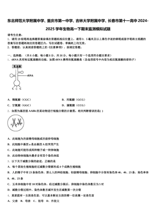 东北师范大学附属中学、重庆市第一中学、吉林大学附属中学、长春市第十一高中2024-2025学年生物高一下期末监测模拟试题含解析