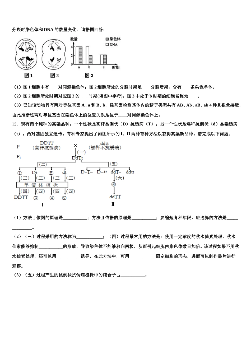 2025届吉林省吉化第一中学生物高一下期末学业质量监测试题含解析_第3页