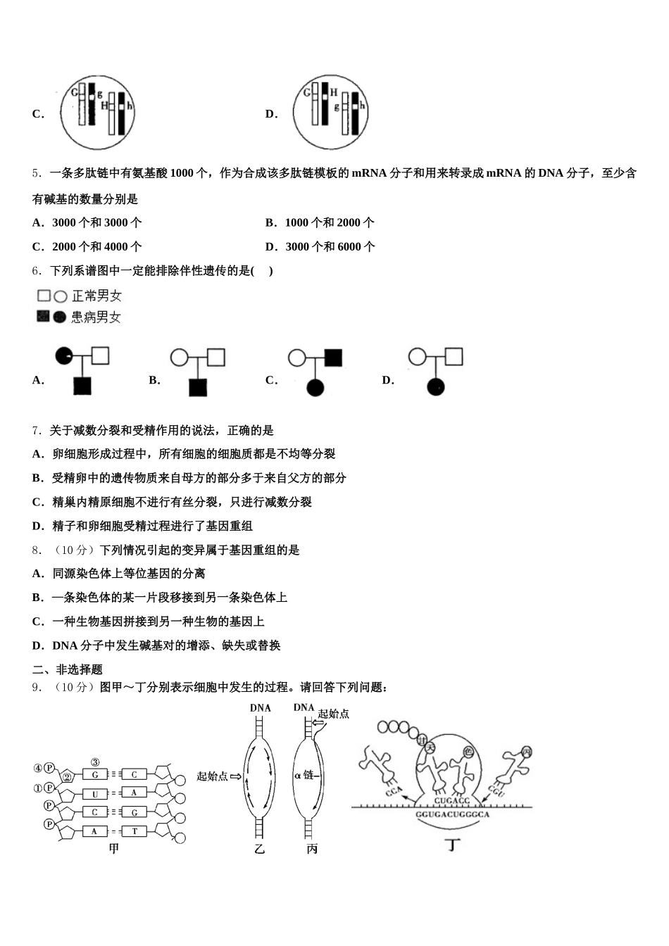 吉林省长春市七中2025届生物高一第二学期期末统考试题含解析_第2页