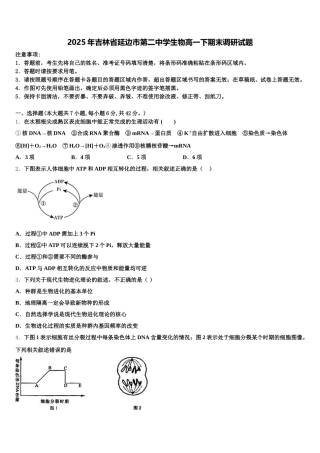 2025年吉林省延边市第二中学生物高一下期末调研试题含解析