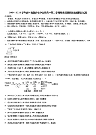 2024-2025学年吉林省乾安七中生物高一第二学期期末质量跟踪监视模拟试题含解析