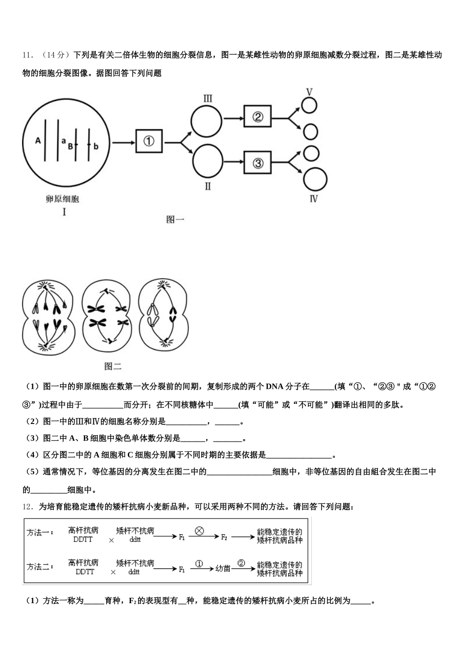 2024-2025学年吉林省四平市公主岭市第五高级中学生物高一下期末达标检测试题含解析_第3页