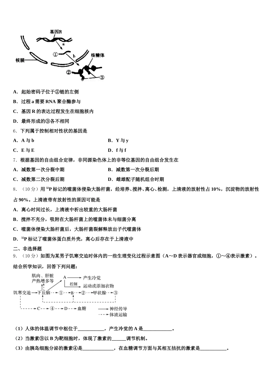 2025年吉林省长春市第151中学生物高一第二学期期末达标检测试题含解析_第2页