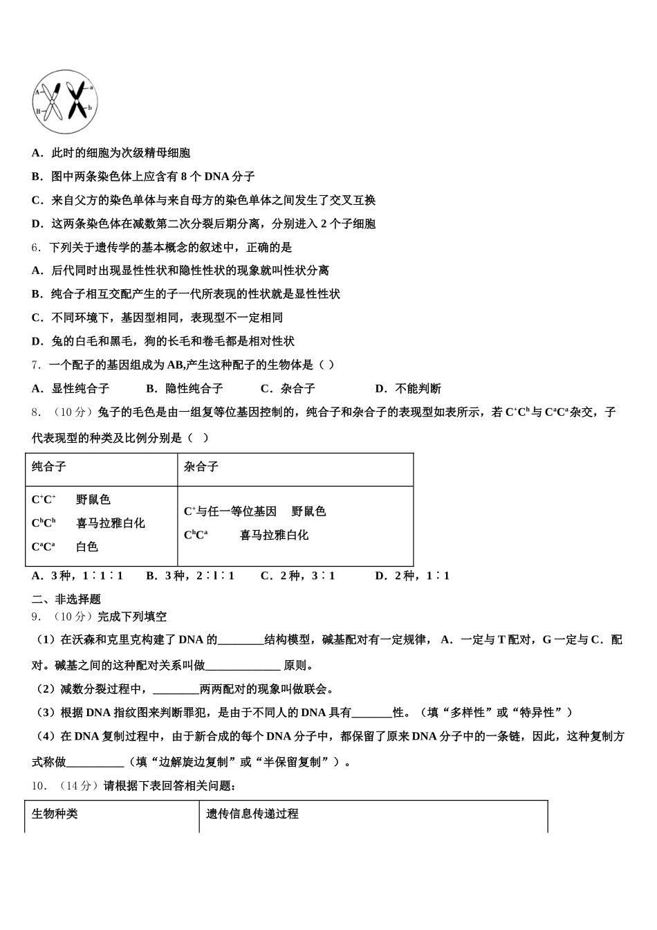 2025年吉林省长春市文曲星名校生物高一下期末学业质量监测模拟试题含解析_第2页