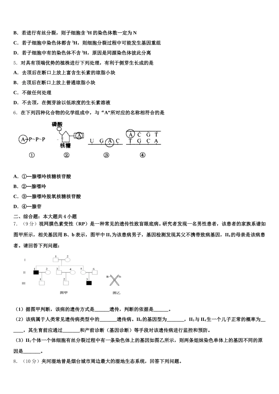 吉林省通化市“BEST合作体”2025届高一生物第二学期期末联考试题含解析_第2页