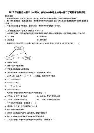 2025年吉林省长春市十一高中、白城一中联考生物高一第二学期期末联考试题含解析