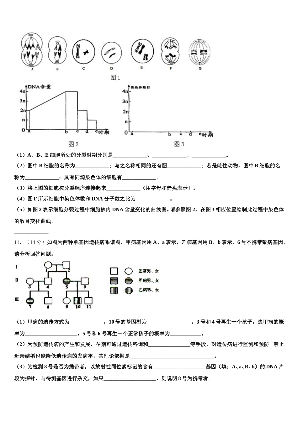2025届吉林长春市普通高中生物高一第二学期期末联考模拟试题含解析_第3页