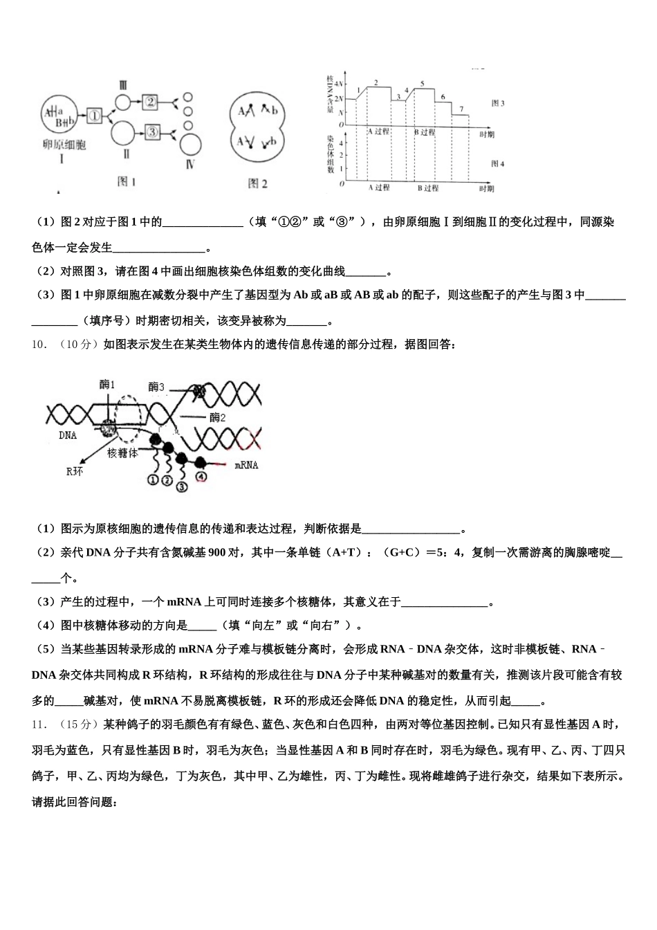 吉林省长春市长春市十一高中2025届高一生物第二学期期末经典模拟试题含解析_第3页