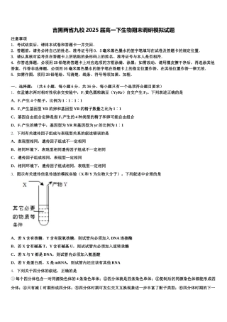吉黑两省九校2025届高一下生物期末调研模拟试题含解析