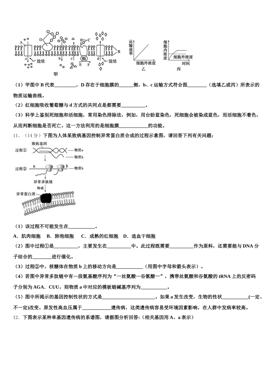 2025届吉林省辽源市第五中学生物高一第二学期期末学业质量监测模拟试题含解析_第3页