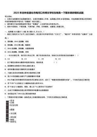 2025年吉林省通化市梅河口市博文学校生物高一下期末调研模拟试题含解析