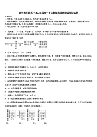 吉林省东辽五中2025届高一下生物期末综合测试模拟试题含解析