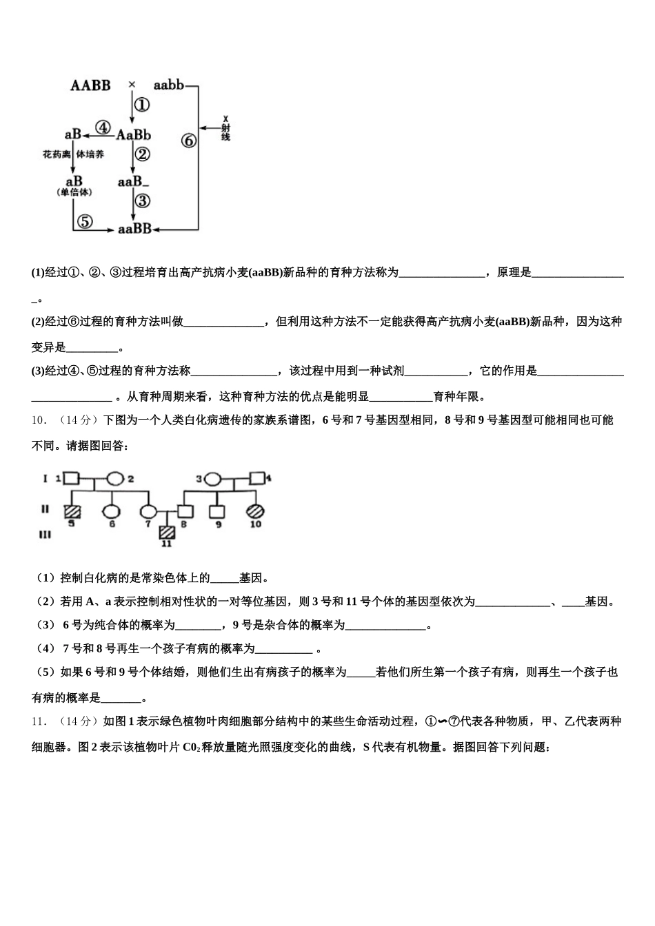 2024-2025学年吉林省白山一中生物高一第二学期期末考试模拟试题含解析_第3页