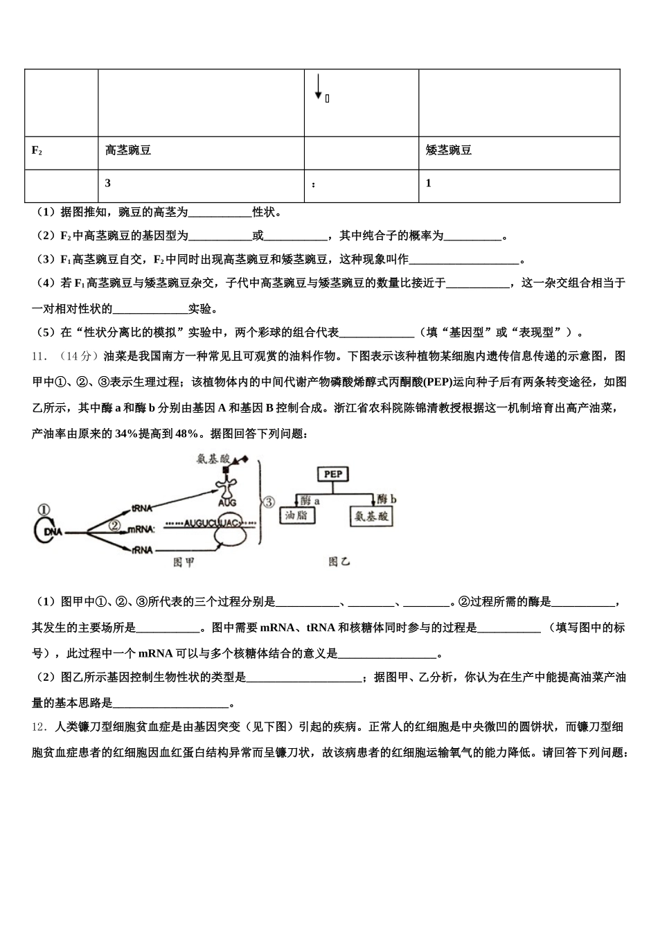 吉林省长春市双阳区长春一五一中学2025年生物高一下期末质量跟踪监视试题含解析_第3页