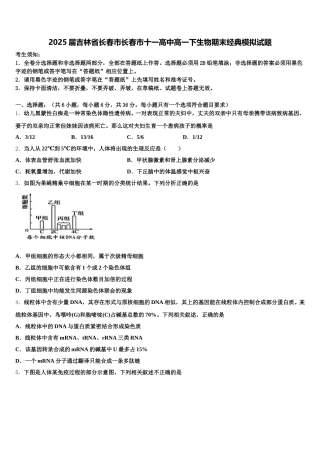 2025届吉林省长春市长春市十一高中高一下生物期末经典模拟试题含解析