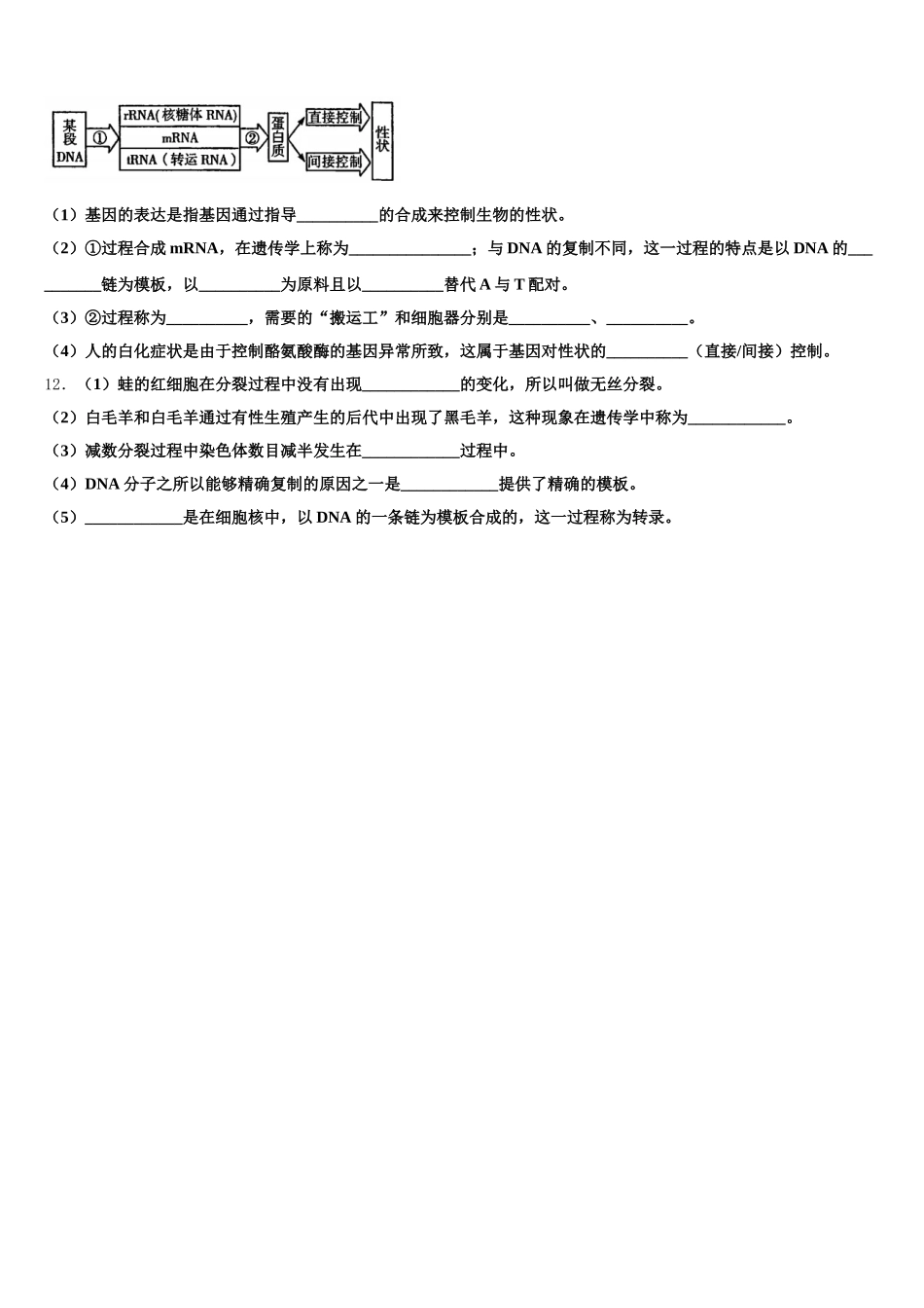 2024-2025学年吉林省扶余市一中生物高一第二学期期末达标检测模拟试题含解析_第3页