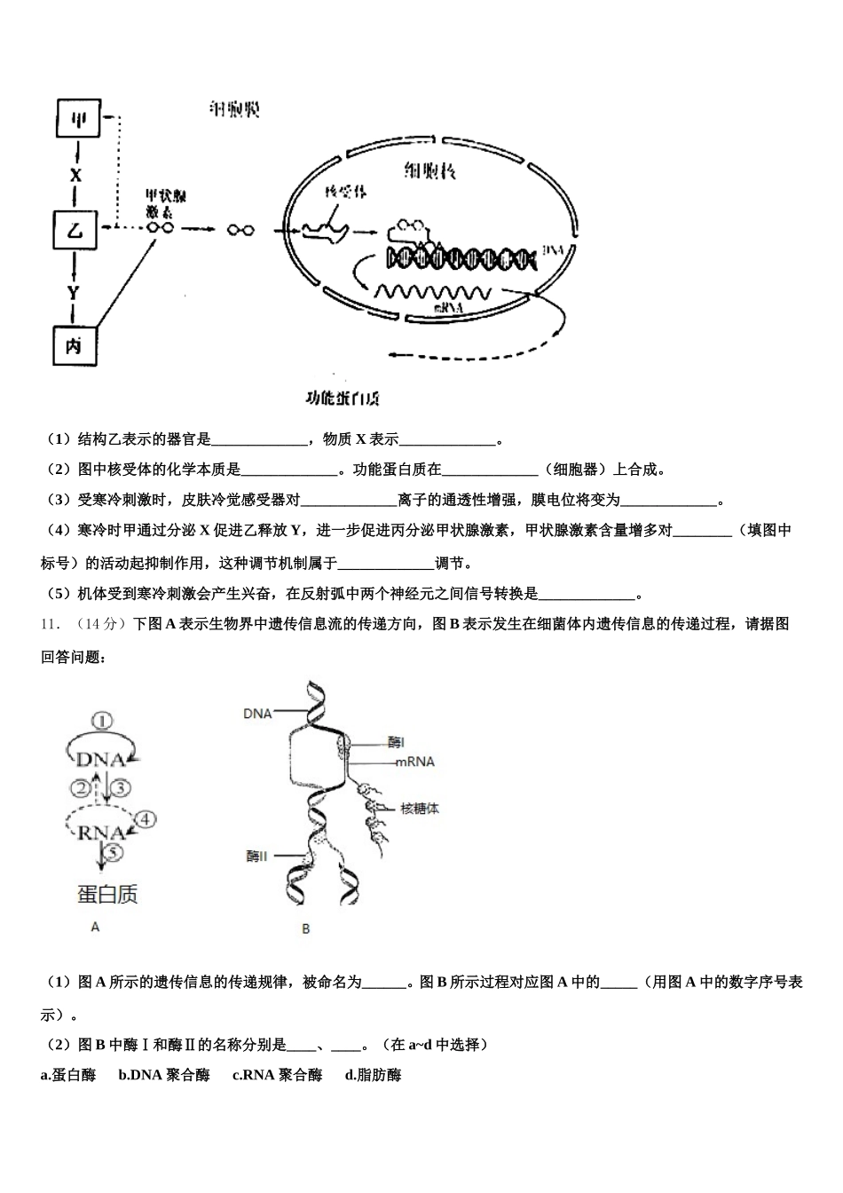 吉林省榆树市2024-2025学年高一下生物期末统考试题含解析_第3页