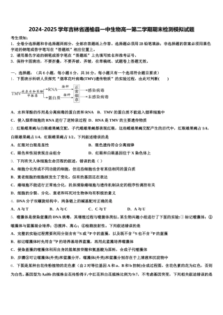 2024-2025学年吉林省通榆县一中生物高一第二学期期末检测模拟试题含解析