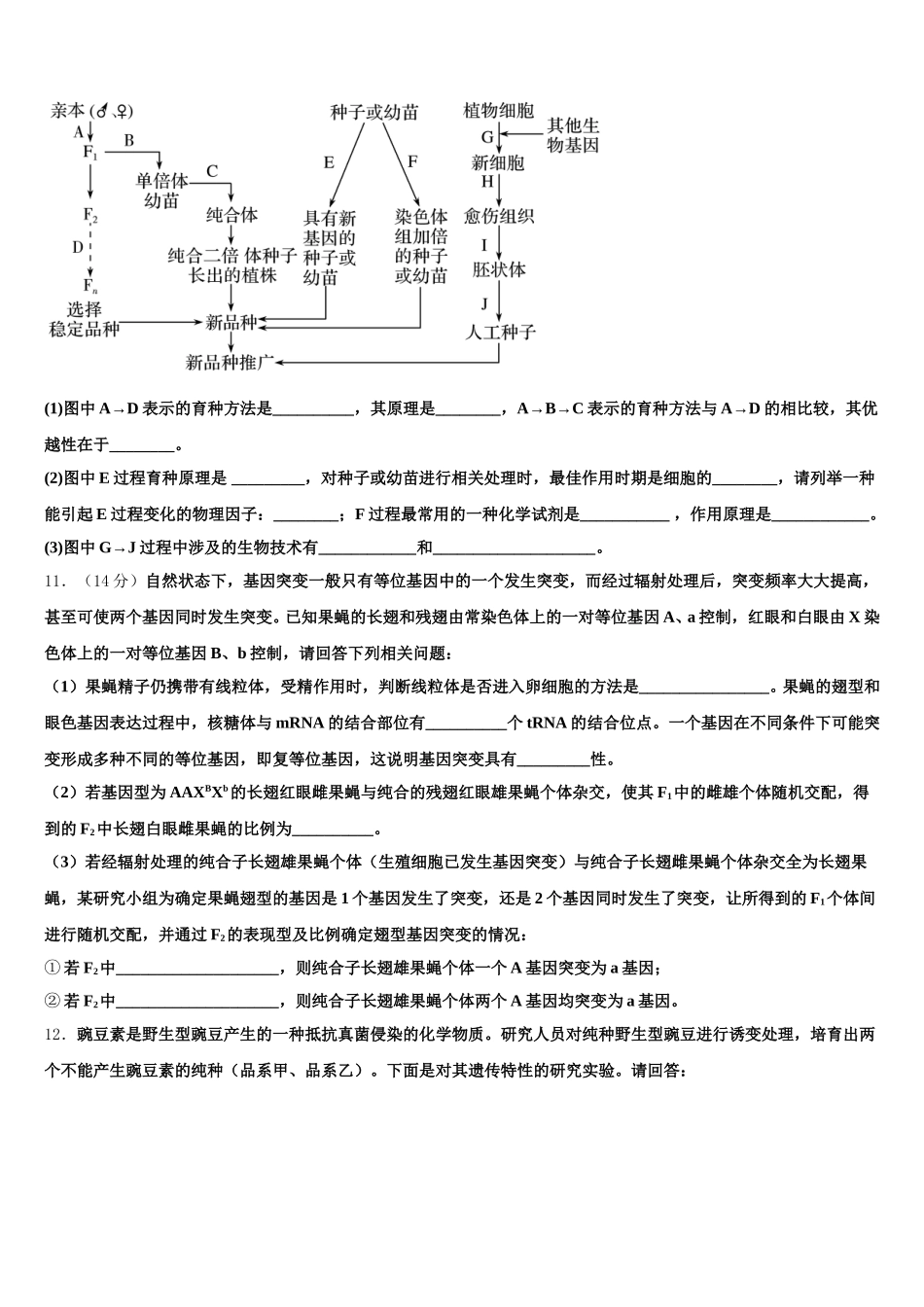 2025届吉林省公主岭市范家屯镇第一中学高一生物第二学期期末综合测试模拟试题含解析_第3页
