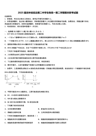 2025届吉林省延边第二中学生物高一第二学期期末联考试题含解析