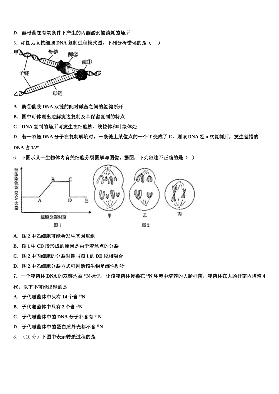 2025届吉林省吉林市普通高中友好学校联合体高一下生物期末经典模拟试题含解析_第2页