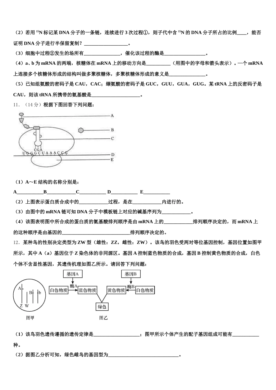 2025年吉林省榆树市第一高级中学生物高一下期末统考模拟试题含解析_第3页