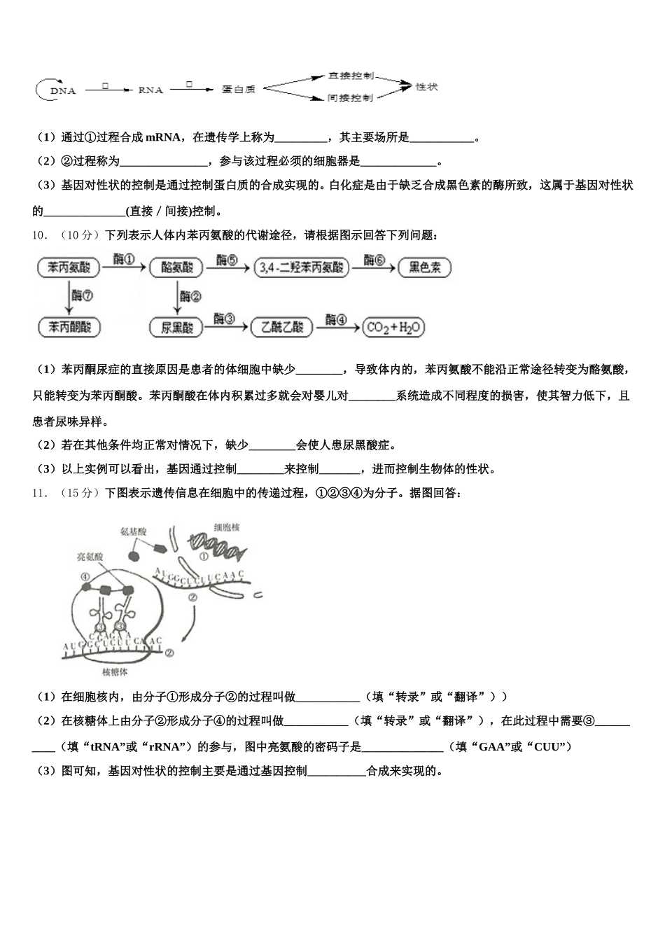 2024-2025学年吉林市普通中学高一下生物期末教学质量检测试题含解析_第3页