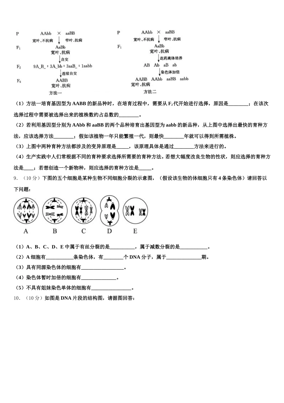 吉林省东北师大附中2025届高一生物第二学期期末学业质量监测试题含解析_第3页