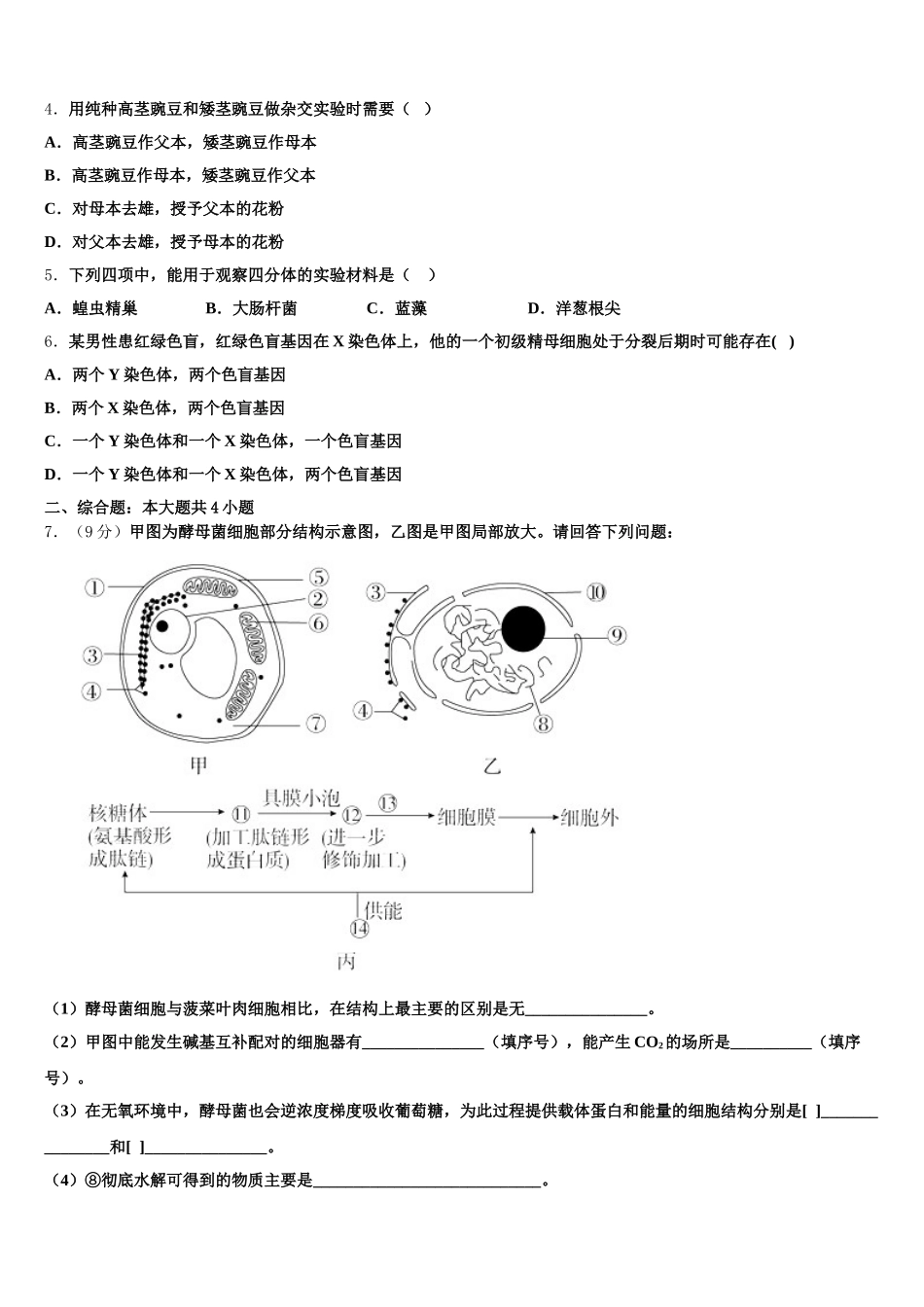 2025届吉林省松原市乾安县七中生物高一下期末预测试题含解析_第2页