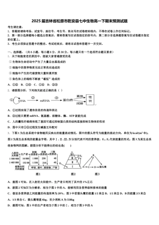 2025届吉林省松原市乾安县七中生物高一下期末预测试题含解析