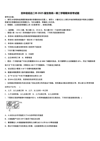 吉林省延边二中2025届生物高一第二学期期末统考试题含解析